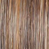 Advanced French Wig by Raquel Welch | Short Heat Friendly Synthetic Pixie