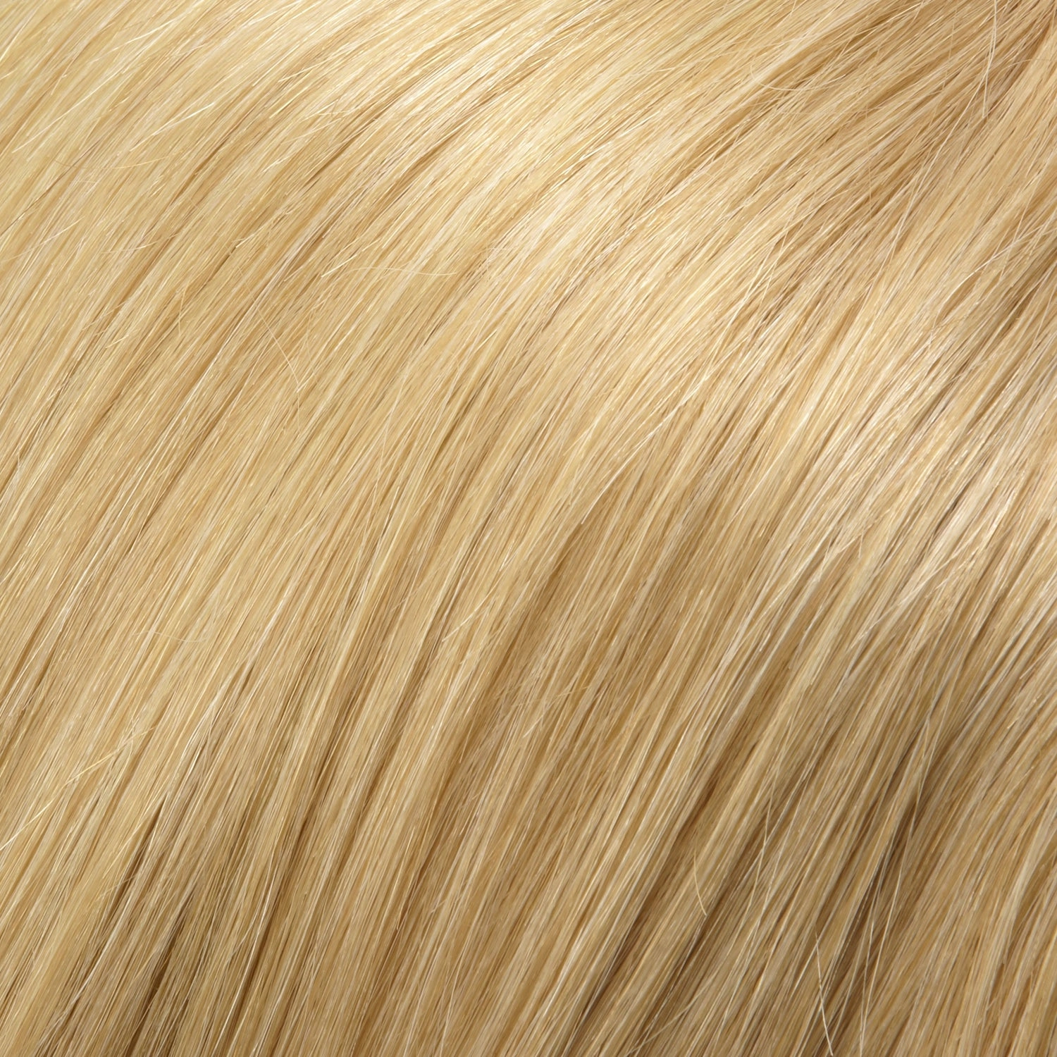 Angie HT Wig by Jon Renau | Remy Human Hair Hair | Average Cap