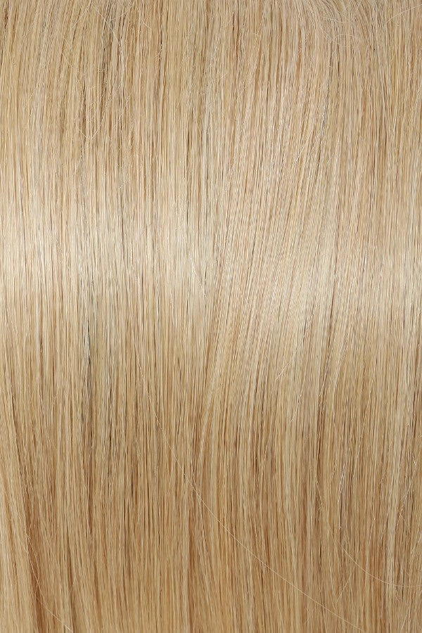 Applause HT Wig by Raquel Welch | Human Hair Hair | Average Cap