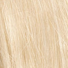 Applause wig - Raquel Welch Black Label Human Hair Collection