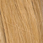 Applause wig - Raquel Welch Black Label Human Hair Collection