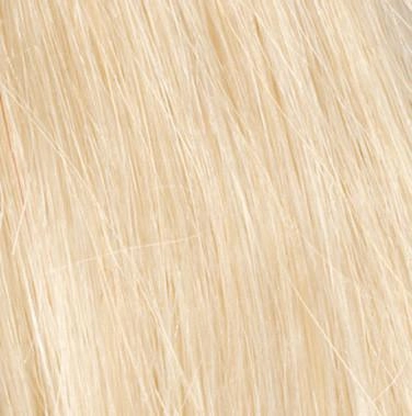 Applause Wig by Raquel Welch Wig by Raquel Welch | Human Hair (Lace Front Mono Top)