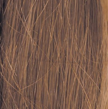 Applause Wig by Raquel Welch Wig by Raquel Welch | Human Hair (Lace Front Mono Top)