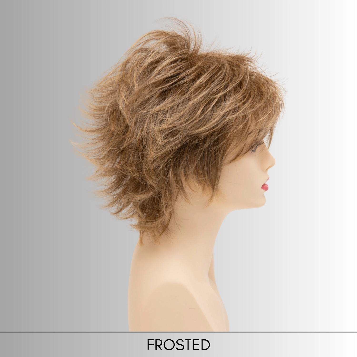 Aria - EnvyHair Collection