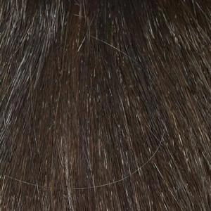 Aria Wig by Envy | Human Hair Blend (Capless)