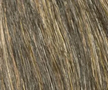 Aubrey wig - Envy Collection