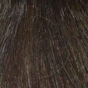 Ava Wig by Envy | Human Hair Blend (Capless, Mono Part, Lace Front)