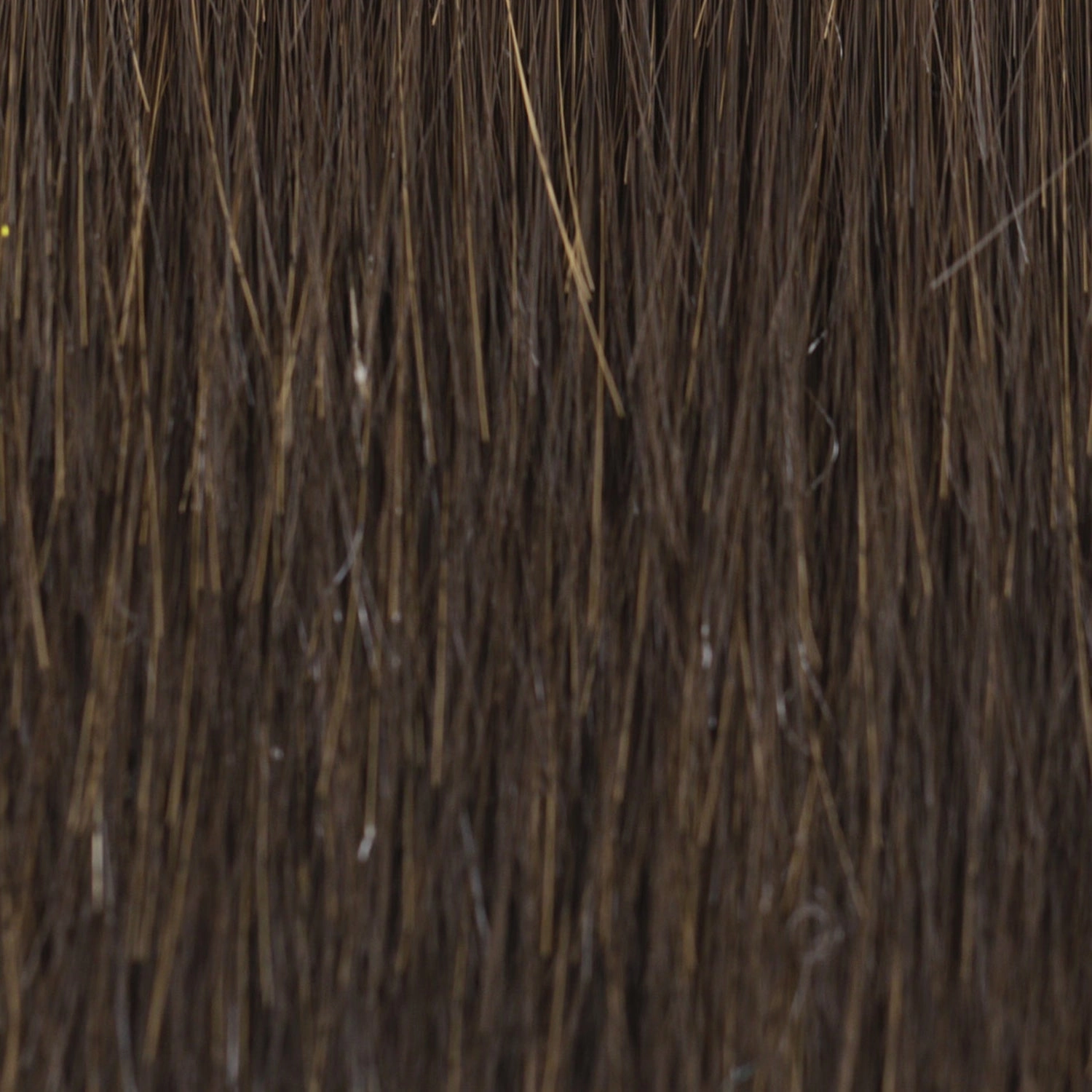 Beach Wave Magic Wig by TressAllure | Heat Friendly Synthetic Hair | Average Cap