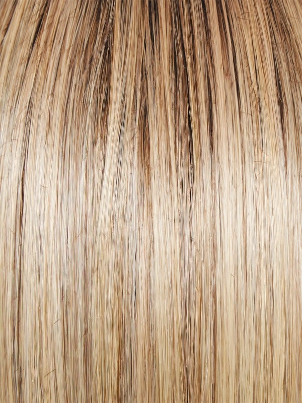 Best In Class Wig by Gabor | Heat Friendly Synthetic Hair | Average Cap
