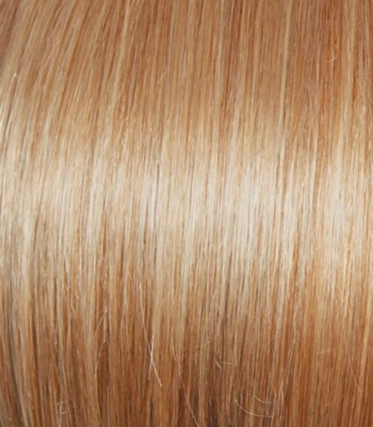 Best In Class Wig by Gabor | Heat Friendly Synthetic Lace Front