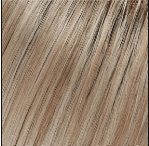 Blake (Renau Colors) Wig by Jon Renau | Remy Human Hair (Lace Front Hand Tied Mono Top)