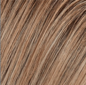 Blake (Renau Colors) Wig by Jon Renau | Remy Human Hair (Lace Front Hand Tied Mono Top)