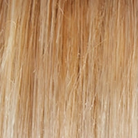 Blushing Beauty Wig by Gabor | Lace Front | Mono Part | Synthetic Fiber