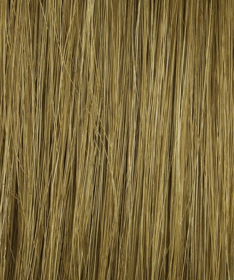 Bravo Wig by Raquel Welch | Human Hair Hair | Average Cap