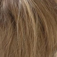 Brett wig - Noriko