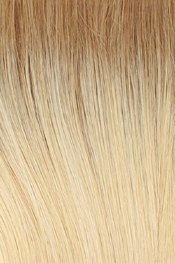 Calling All Compliments Wig by Raquel Welch | Remy Human Hair Hair | Average Cap