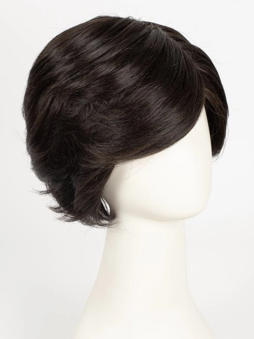 Captivating Canvas | Synthetic Lace Front Wig (Basic Cap)