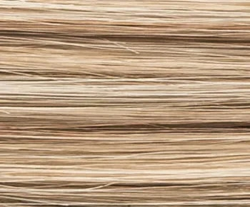 Cara 100 Deluxe wig - Ellen Wille Hairpower Collection