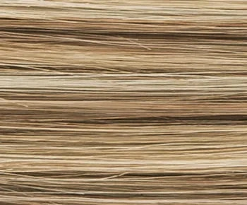 Carol wig - Ellen Wille Hairpower Collection