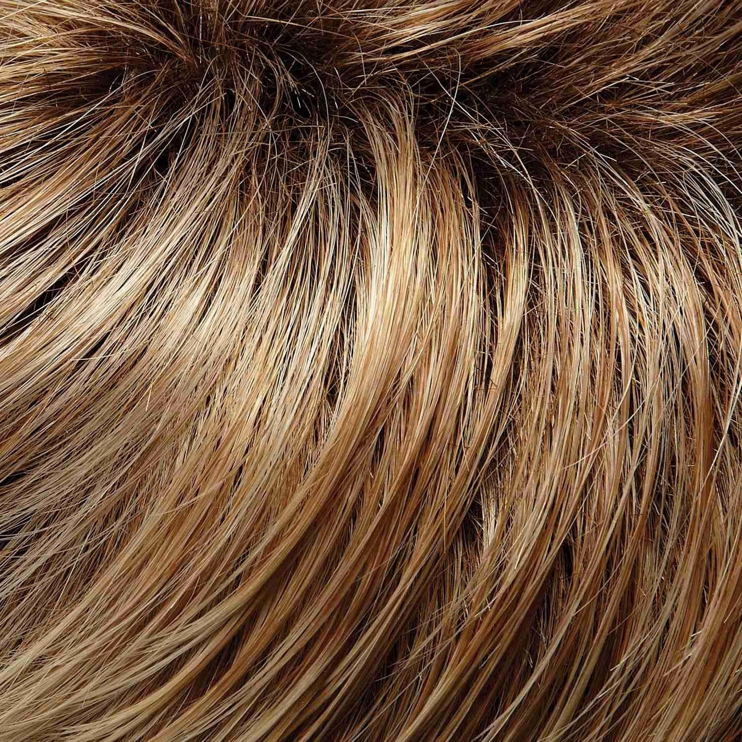 Carrie Wig by Jon Renau | Remy Human Hair - Lace Front Mono Top - Renau Colors