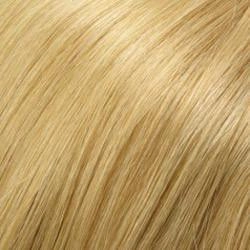 Carrie Wig by Jon Renau | Remy Human Hair - Lace Front Mono Top - Renau Colors