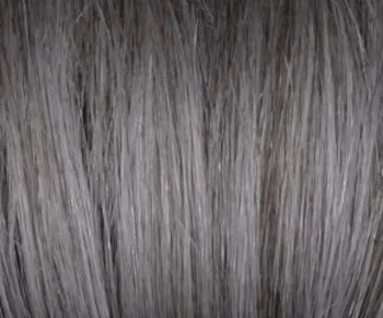 Coco wig - Rene of Paris Hi-Fashion