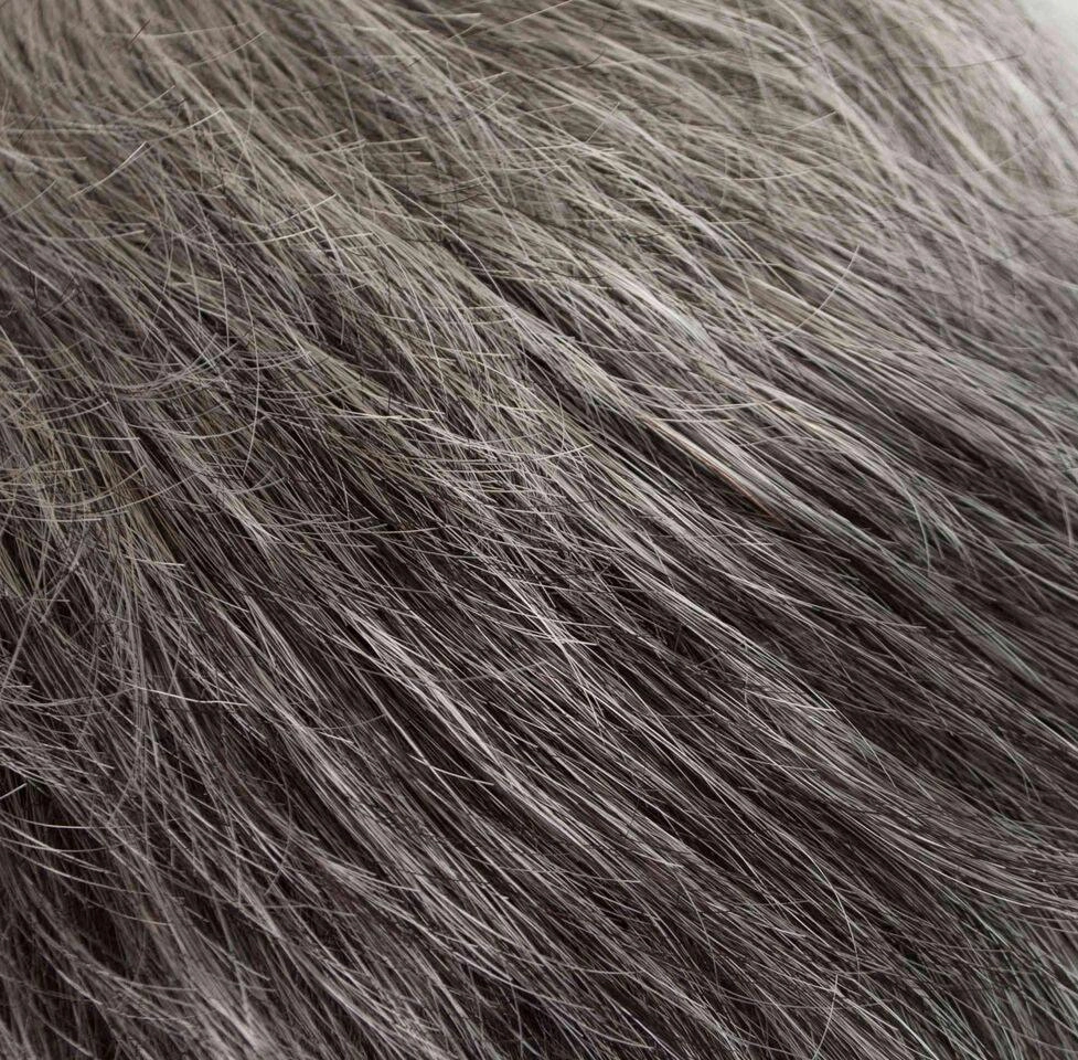 Cora Wig by Tony of Beverly | Heat Friendly Synthetic Wig (Traditional Cap)