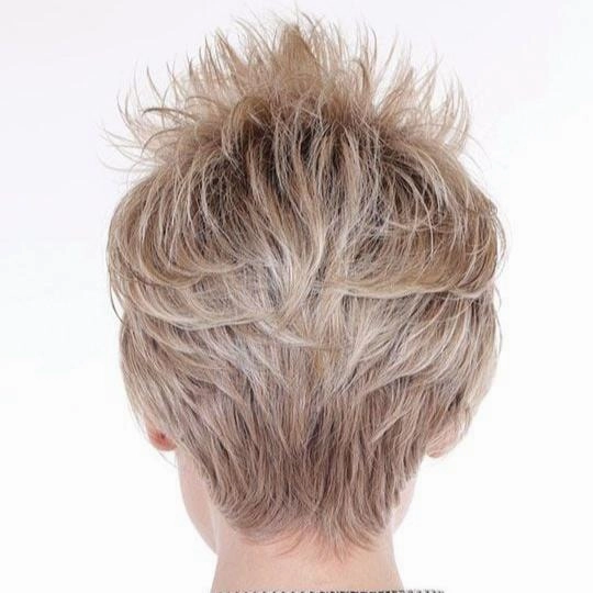 Cortado Cut in English Toffee - Caf Collection by Belle Tress ***CLEARANCE***