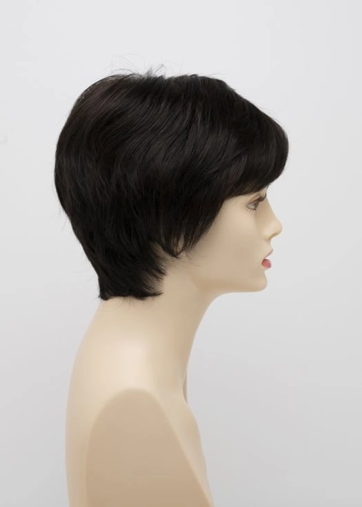 Destiny | Human Hair/ Synthetic Blend Wig (Mono Top)