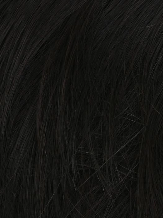 Distinguished HT Wig by HIM | Synthetic Hair | Average/Large Cap
