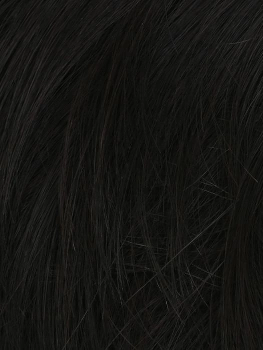 Distinguished HT Wig by HIM | Synthetic Hair | Average/Large Cap