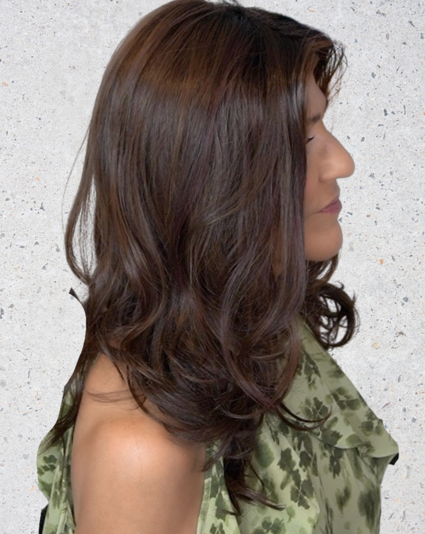 Diva Wig by Ellen Wille | Heat Friendly Synthetic Hair | Petite/Average Cap
