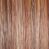 Easy Does It Wig by Raquel Welch | Synthetic Lace Front (Mono)