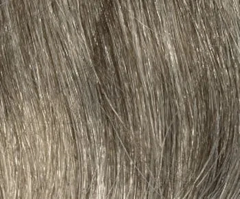 Elle wig - Envy Collection