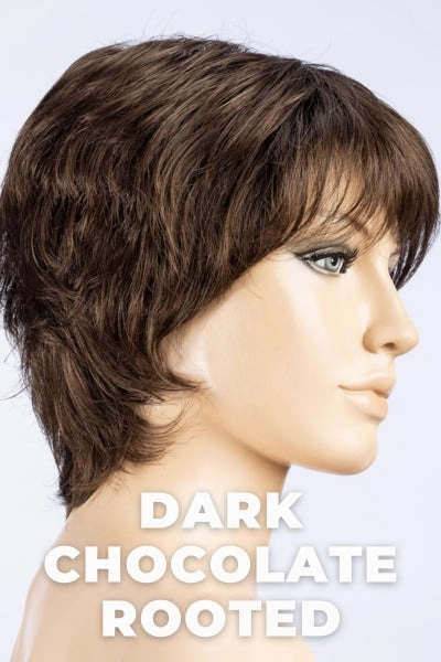 Ellen Wille Wigs - Vanity