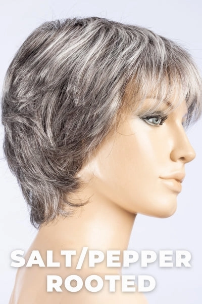 Ellen Wille Wigs - Vanity