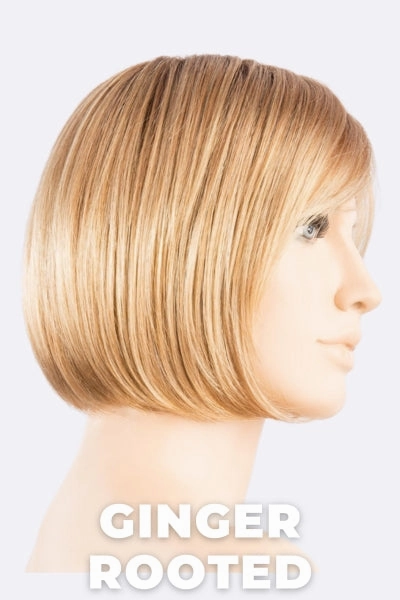 Ellen Wille Wigs - Vista