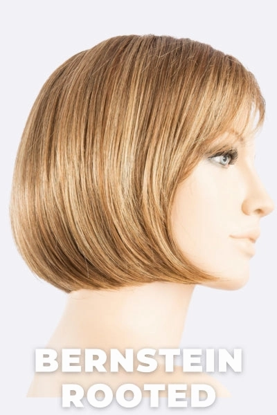 Ellen Wille Wigs - Vista