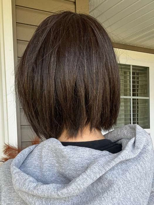 Euro Chic | Synthetic Lace Front Wig (Mono Top)