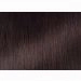 Freetress Equal Synthetic Wig - Angie