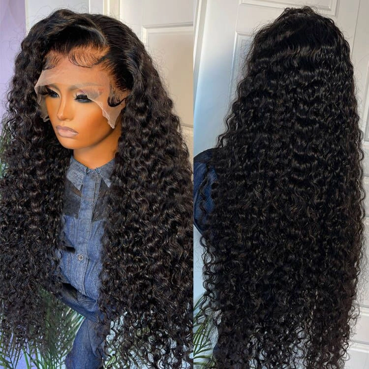 Geeta Black Curly 13x4 HD Lace Front Wig 100% Virgin Human Hair Wigs Pre Plucked Hairline