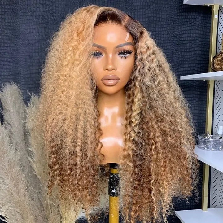 Geeta Honey Blonde Highlight Curly 13x4 Lace Front Human Hair Wigs Colored Glueless Wigs