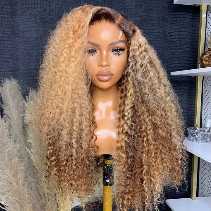 Geeta Honey Blonde Highlight Curly 13x4 Lace Front Human Hair Wigs Colored Glueless Wigs