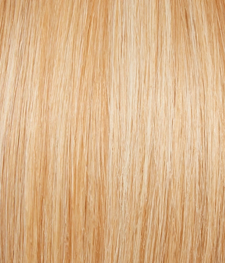 Glamour And More by Raquel Welch | Lace Front | Remy Human Hair