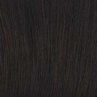 Go To Style wig - Raquel Welch