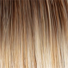 Go To Style wig - Raquel Welch