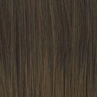 Go To Style wig - Raquel Welch
