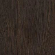 Go To Style wig - Raquel Welch