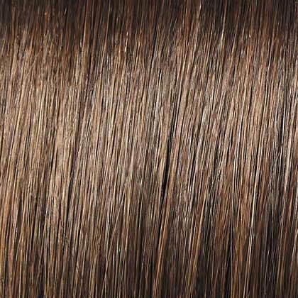 Go To Style wig - Raquel Welch