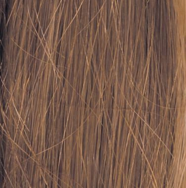 Headliner Wig by Raquel Welch | Human Hair (100% Hand-Knotted Lace Front Mono Top)